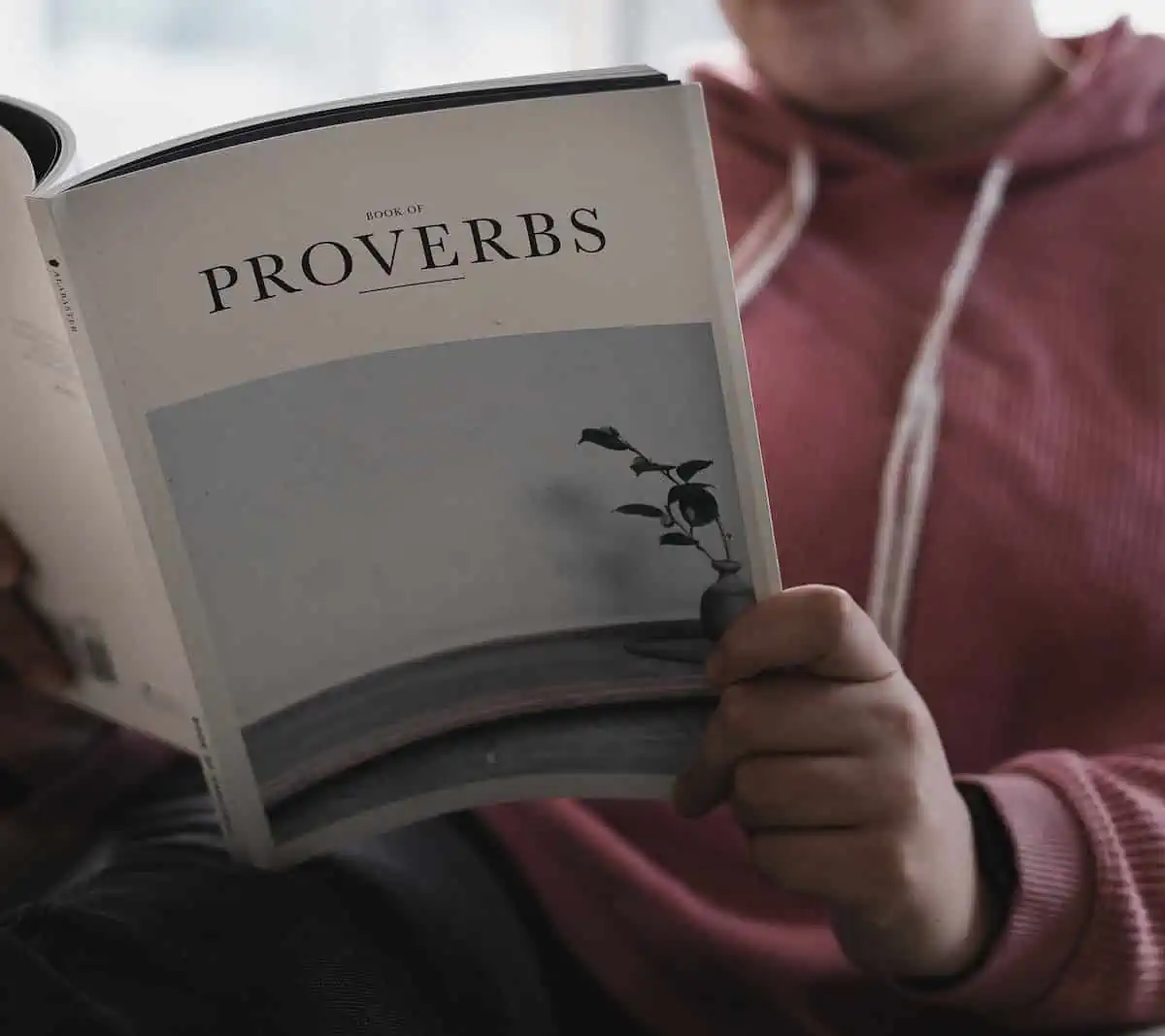 person holding white and blue ceramic mug